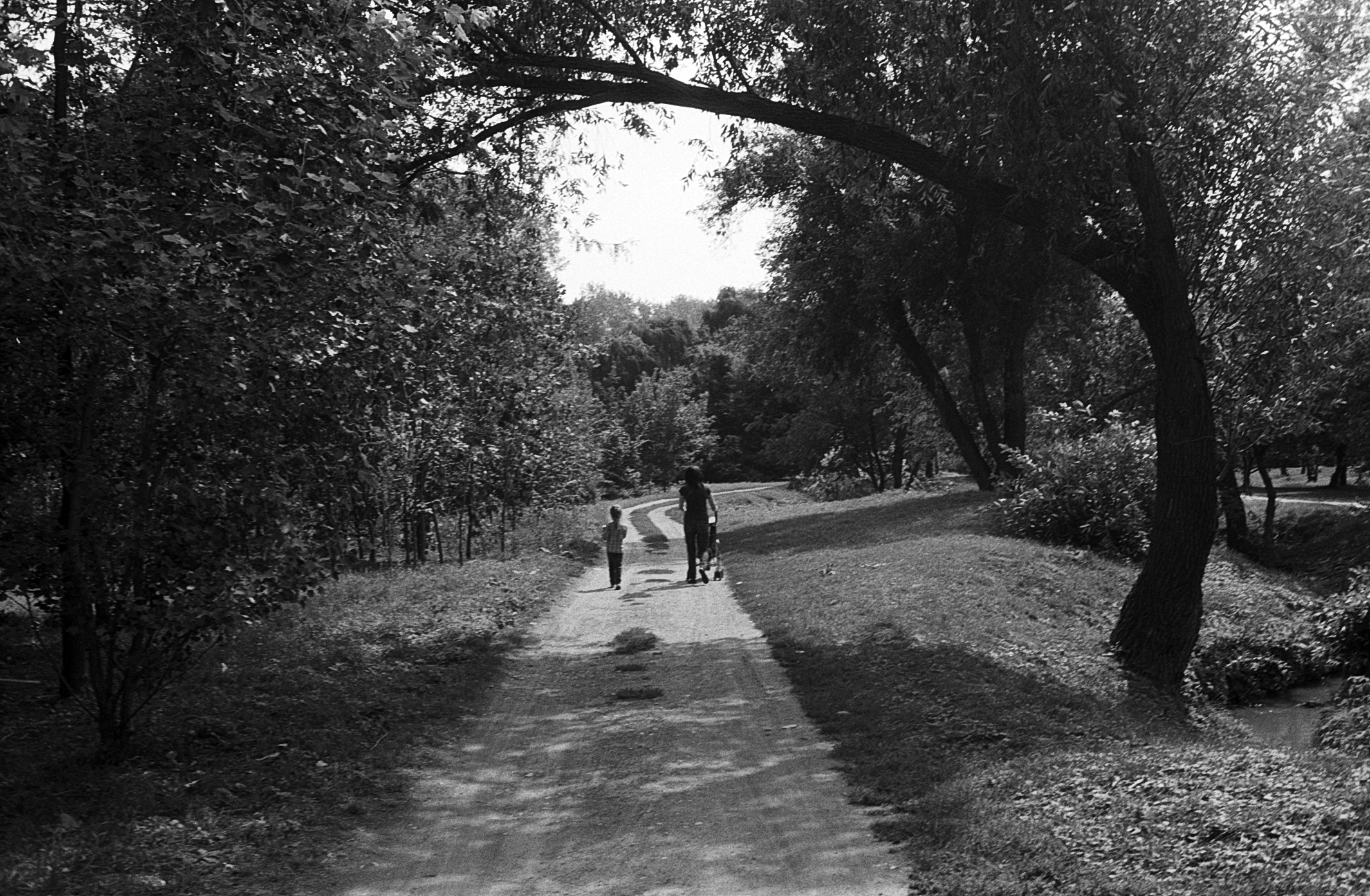 Path (Chișinău Moldova 2013)