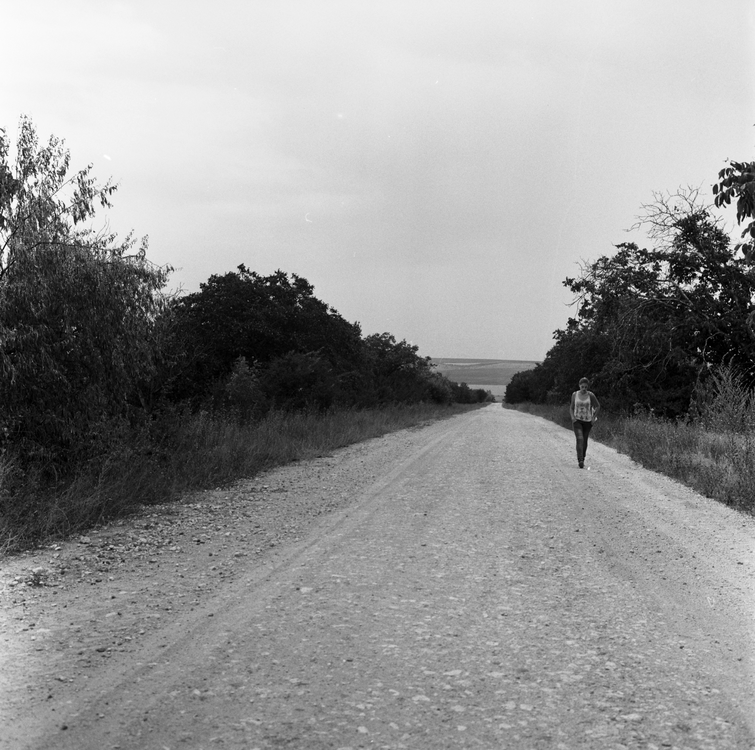 Coștangalia (2015)